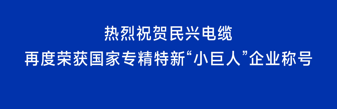 再获国家级认定！民兴电缆蝉联国家专精特新“小巨人”企业称号
