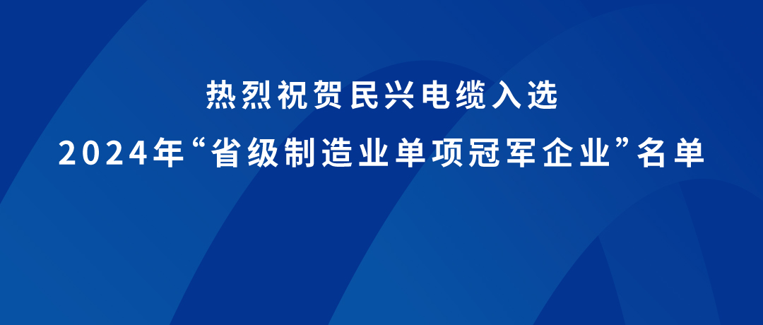 民兴荣获广东省制造业单项冠军！